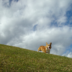 2002年10月27日のマック