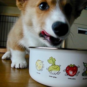 2002年2月16日のマック