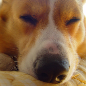 2005年3月8日のマック