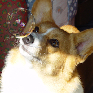 2005年11月13日のマック