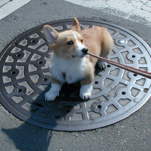 2002年3月18日のマック