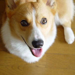 2002年9月29日のマック