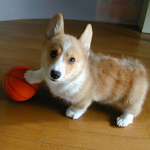 2002年2月17日のマック