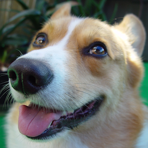 2004年10月18日のマック