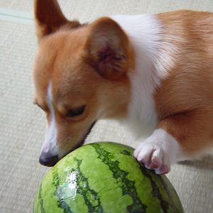 2002年8月16日のマック