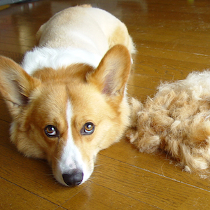 2005年7月2日のマック