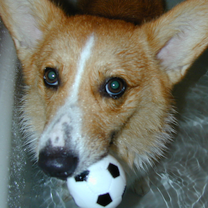 2002年8月10日のマック