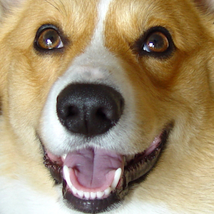 2003年4月3日のマック