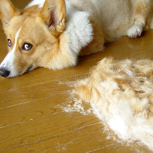 2005年7月2日のマック