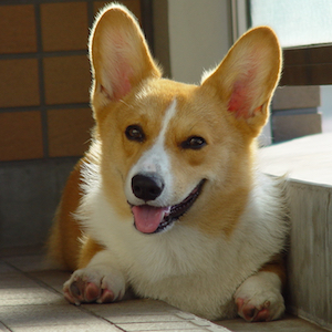 2002年8月31日のマック