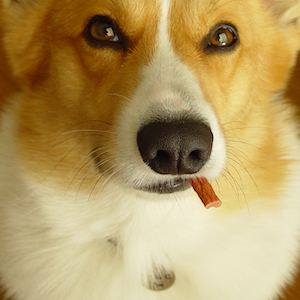 2003年11月26日のマック