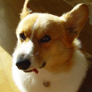 2003年11月18日のマック