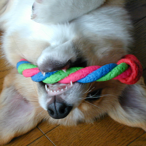 2003年3月6日のマック