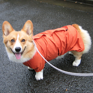 2003年5月19日のマック