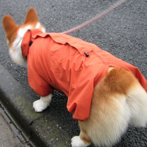 2003年5月19日のマック