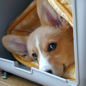 2002年3月31日のマック