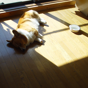 2005年3月19日のマック