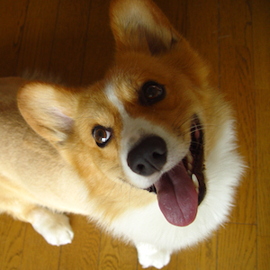 2005年8月10日のマック