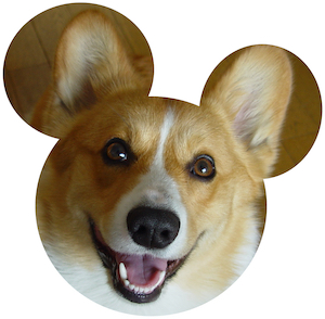 2003年4月3日のマック