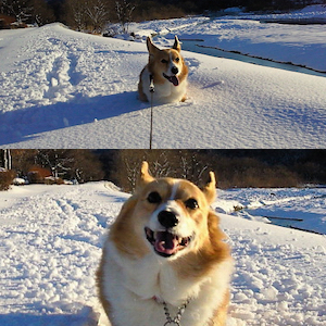 2013年1月27日のマック