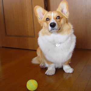 2003年4月3日のマック