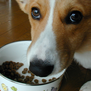 2002年4月16日のマック