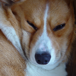 2004年6月5日のマック