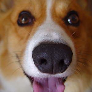 2004年6月26日のマック