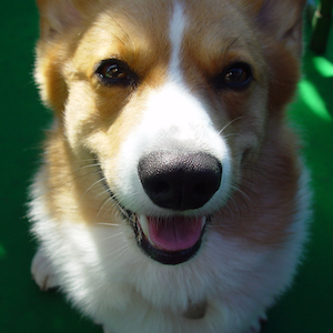 2004年10月18日のマック