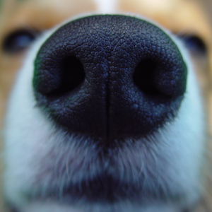 2004年10月18日のマック