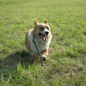 2003年9月28日のマック