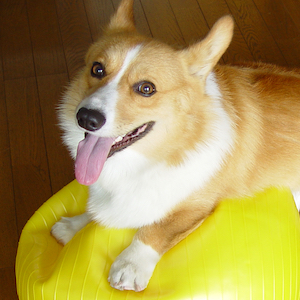 2003年8月31日のマック