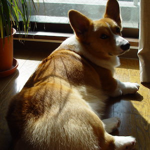 2003年3月14日のマック