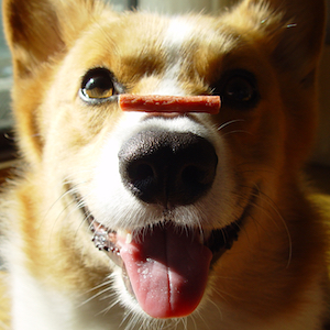 2005年9月30日のマック