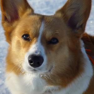 2005年2月13日のマック