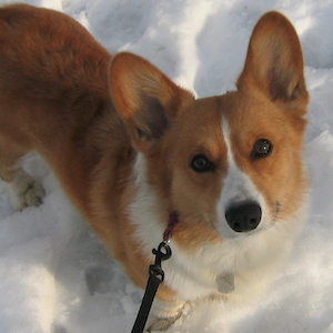 2005年1月3日のマック